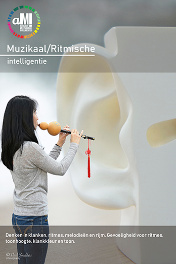 Muzikaal-ritmische intelligentie. Denken in klanken, ritmies, melodieën en rijm.