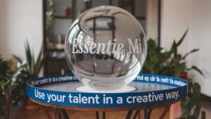 Essentie Meervoudige Intelligenties