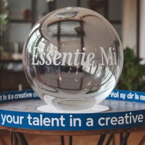 Essentie Meervoudige Intelligenties